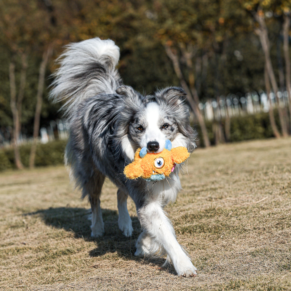 Qmonster Brinquedo para cachorro - 2in1 Monstro Ciclope - Amarelo Grande