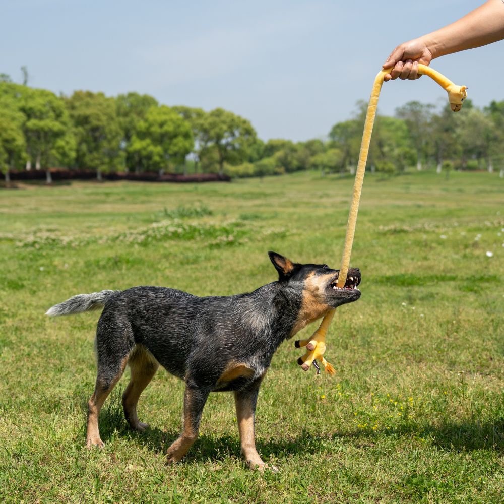 Brinquedo Interativo com Corda Animais Esticadinhos Girafa - Qmonster