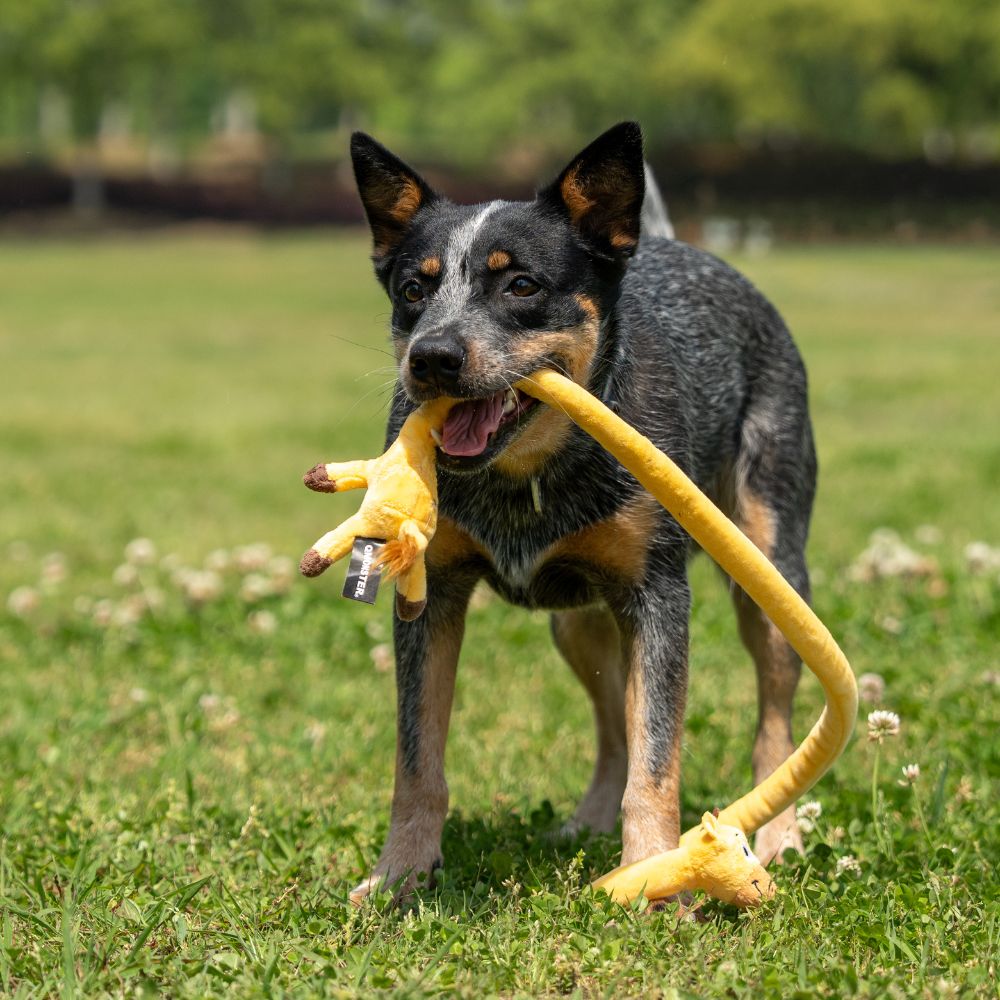 Brinquedo Interativo com Corda Animais Esticadinhos Girafa - Qmonster