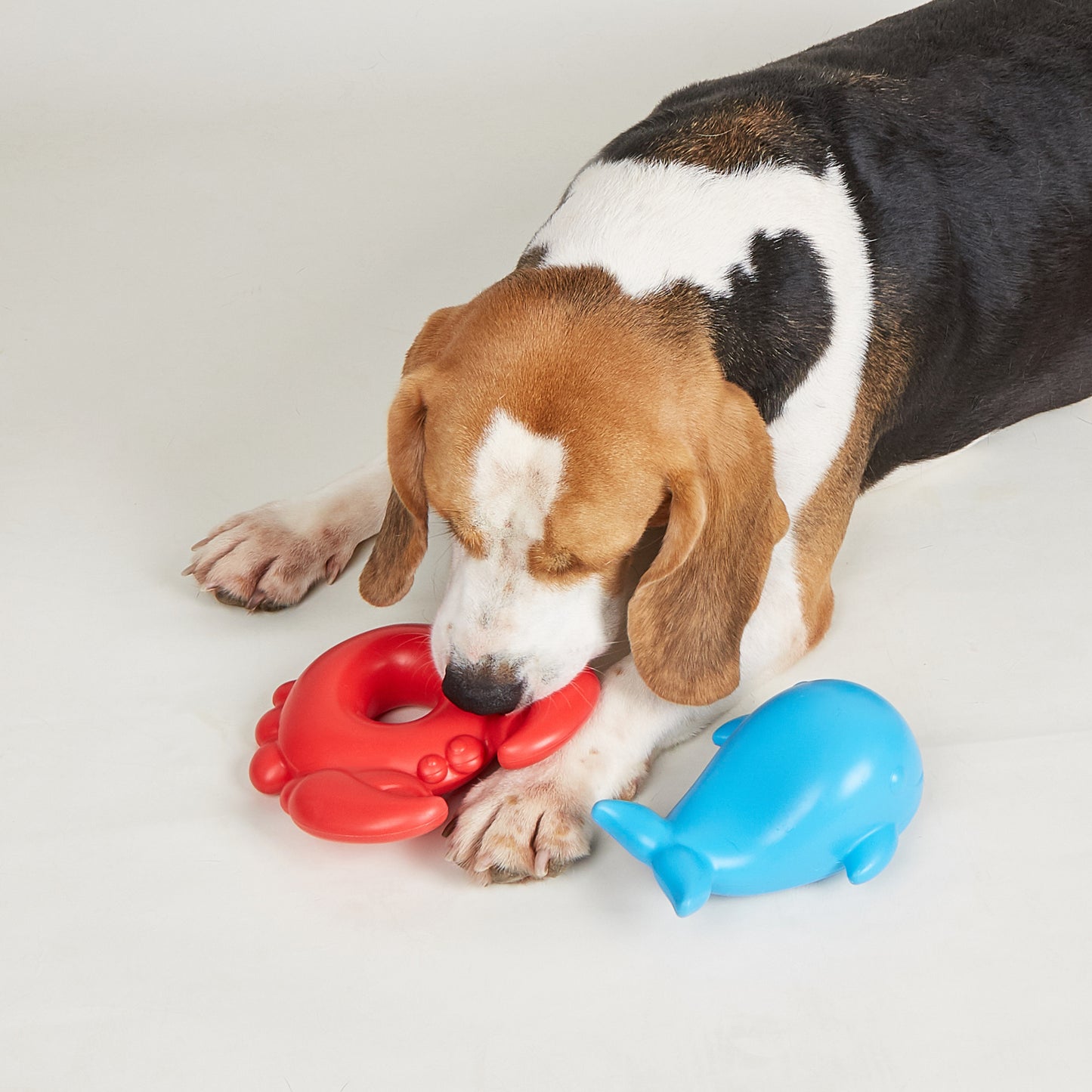 FOFOS Brinquedos para Cães - Alegre Piscina - Caranguejo