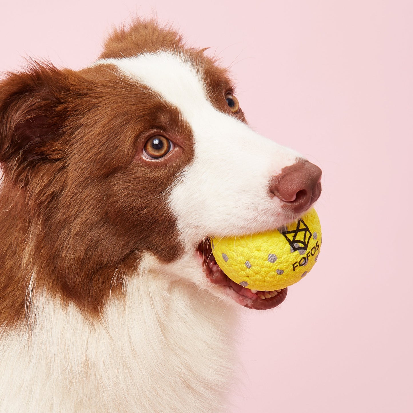 FOFOS Brinquedos para Cães - ETPU Pipoca Super Leve - Bola Branco