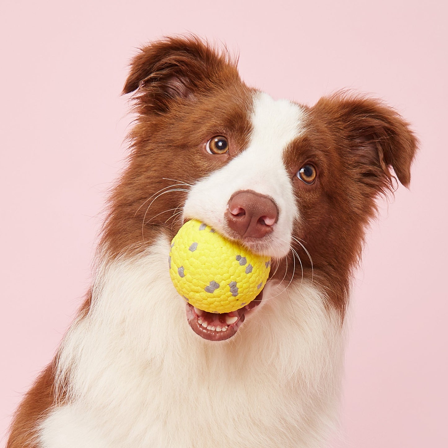 FOFOS Brinquedos para Cães - ETPU Pipoca Super Leve - Bola Amarelo