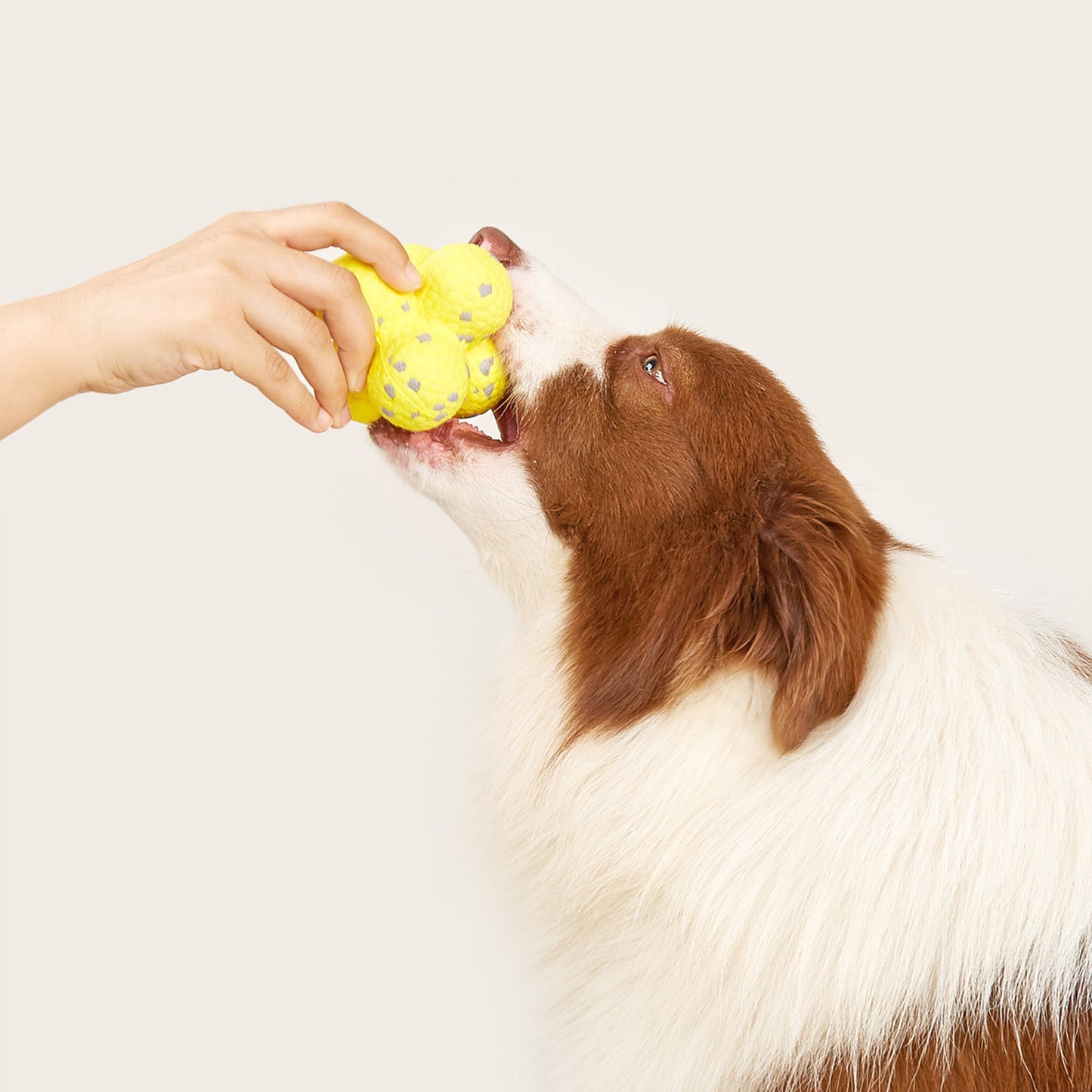 FOFOS Brinquedos para Cães - ETPU Pipoca Super Leve - Átomo