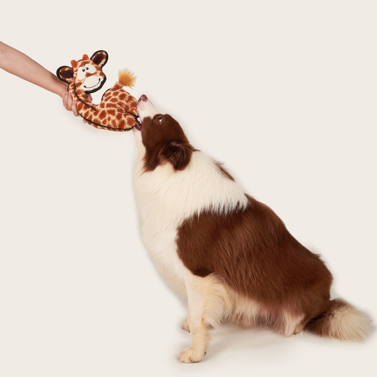 FOFOS Brinquedos para Cães - Safari - Crocodilo