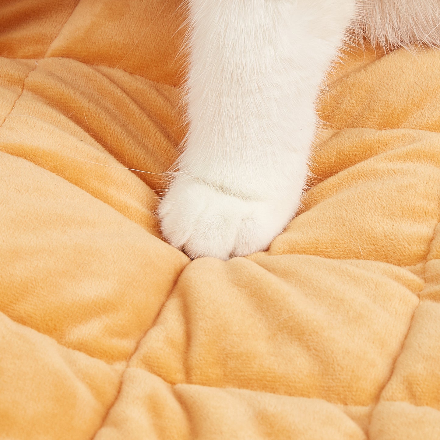 FOFOS Cama para Pets - Cama de Donut/Rosquinha