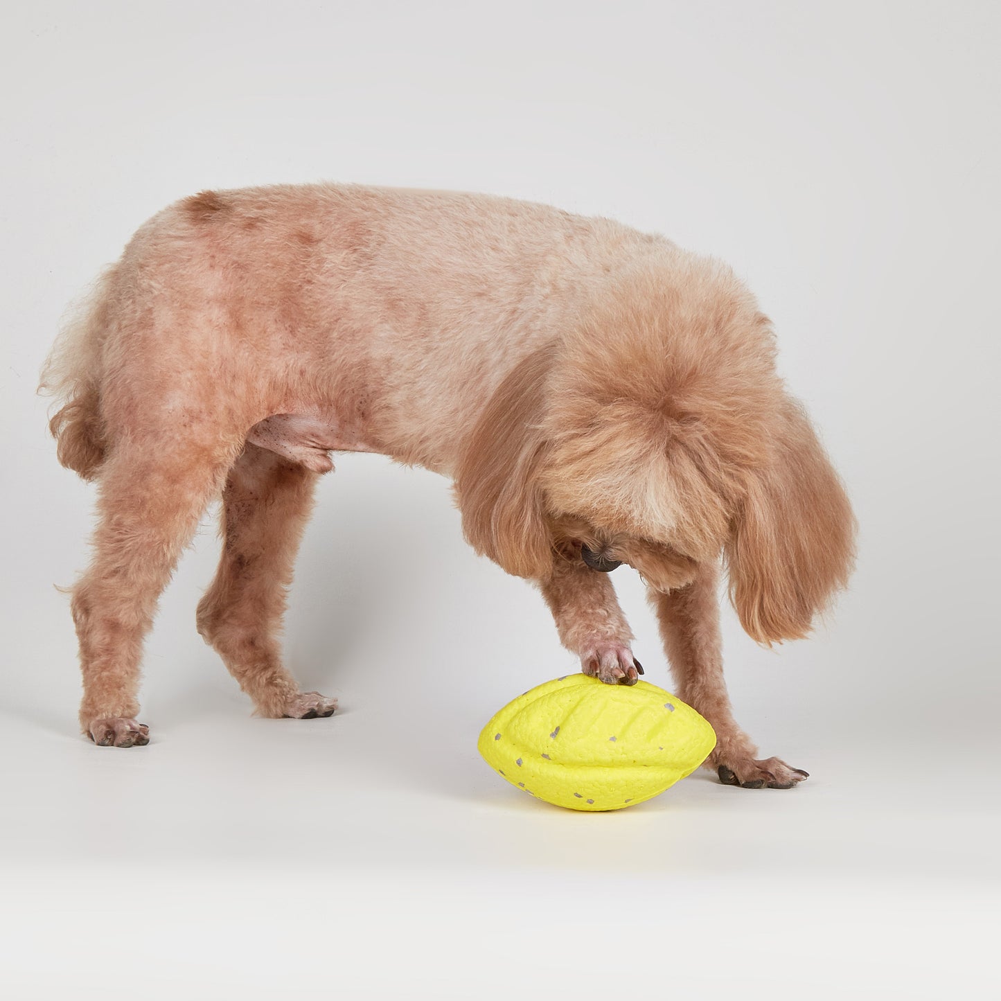 FOFOS Brinquedos para Cães - ETPU Pipoca Super Leve - Rugbi