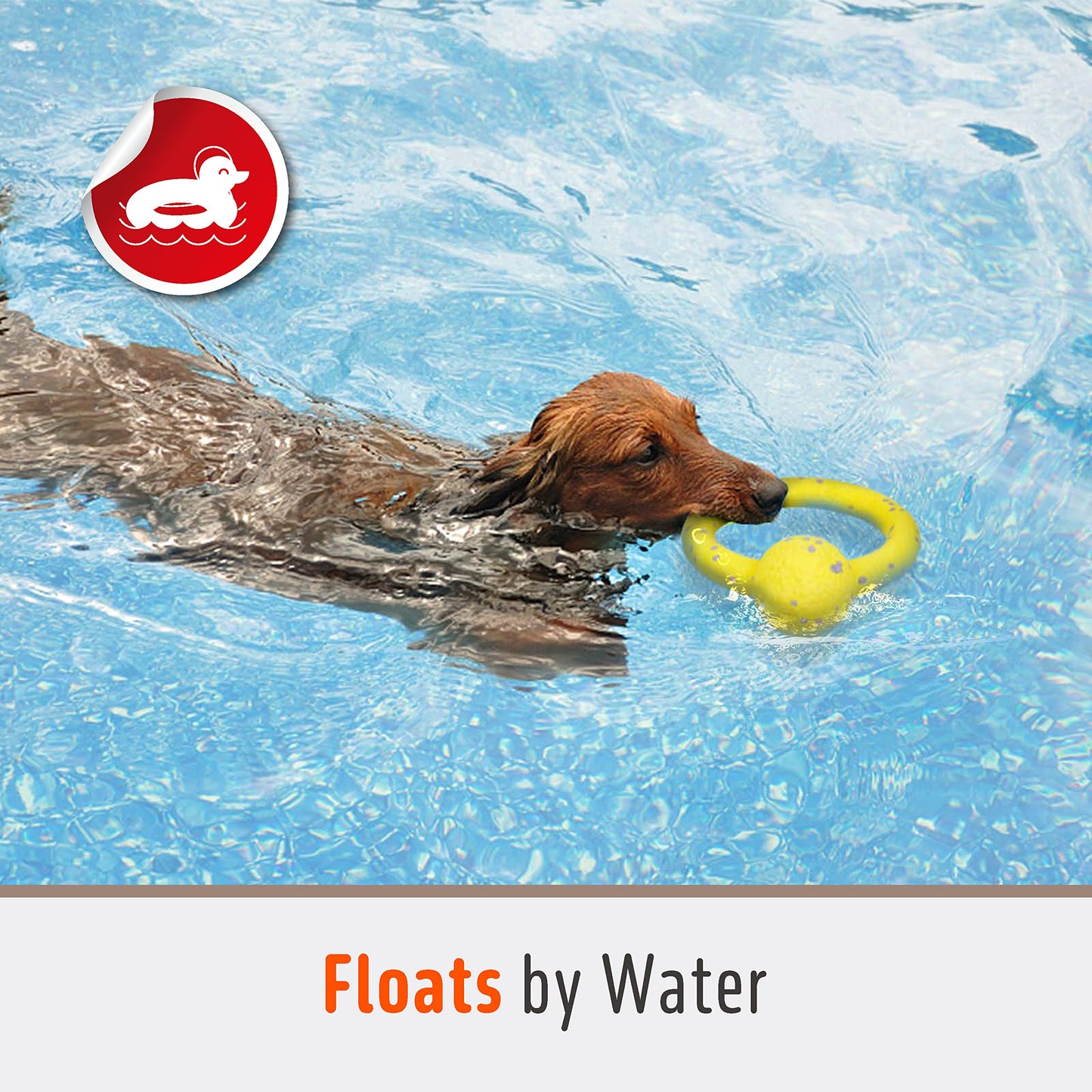 FOFOS Brinquedos para Cães - ETPU Pipoca Super Leve - Flyer/Voador