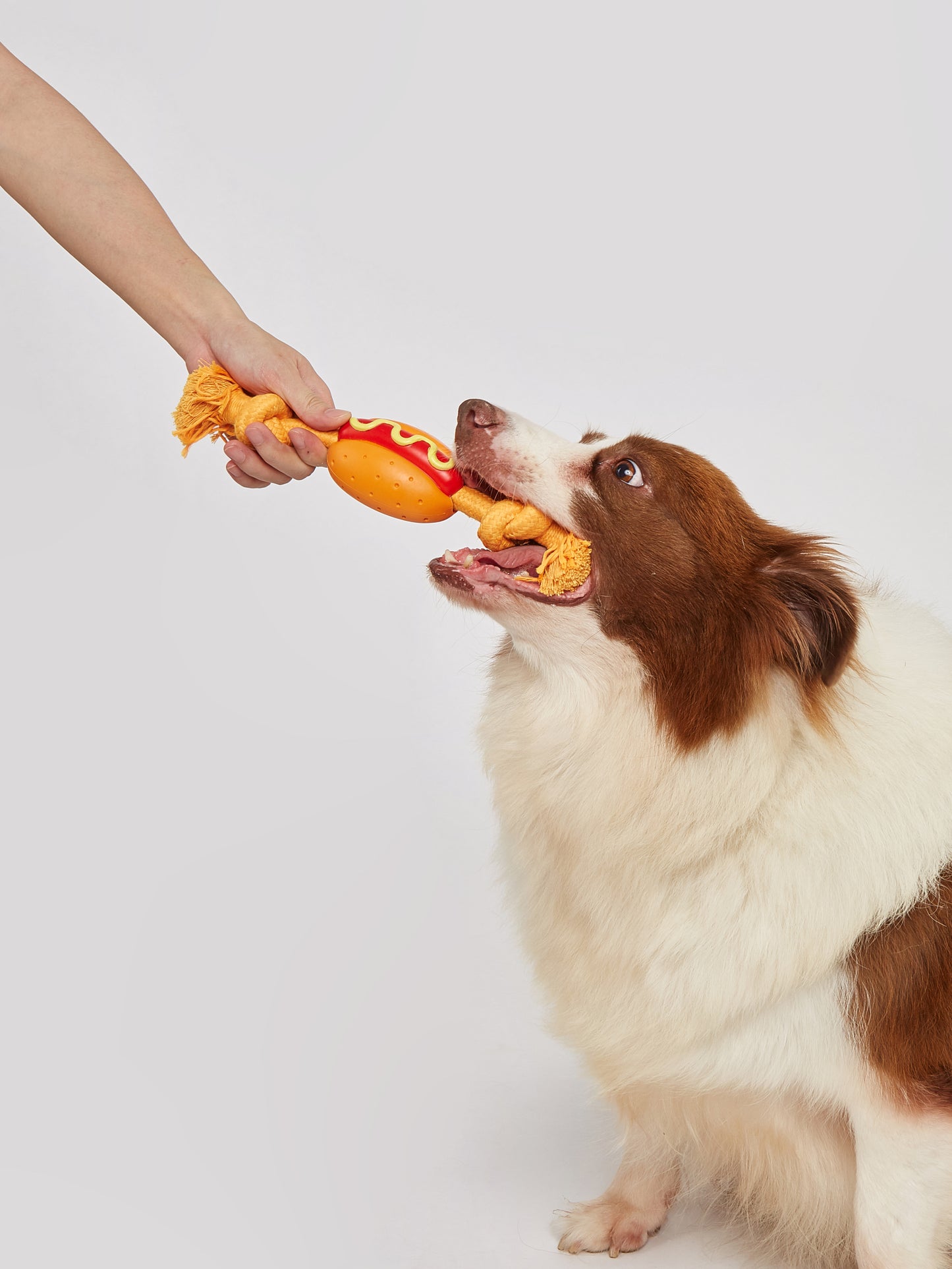 FOFOS Brinquedos para Cães - Espetinho Corda - Cachorro Quente