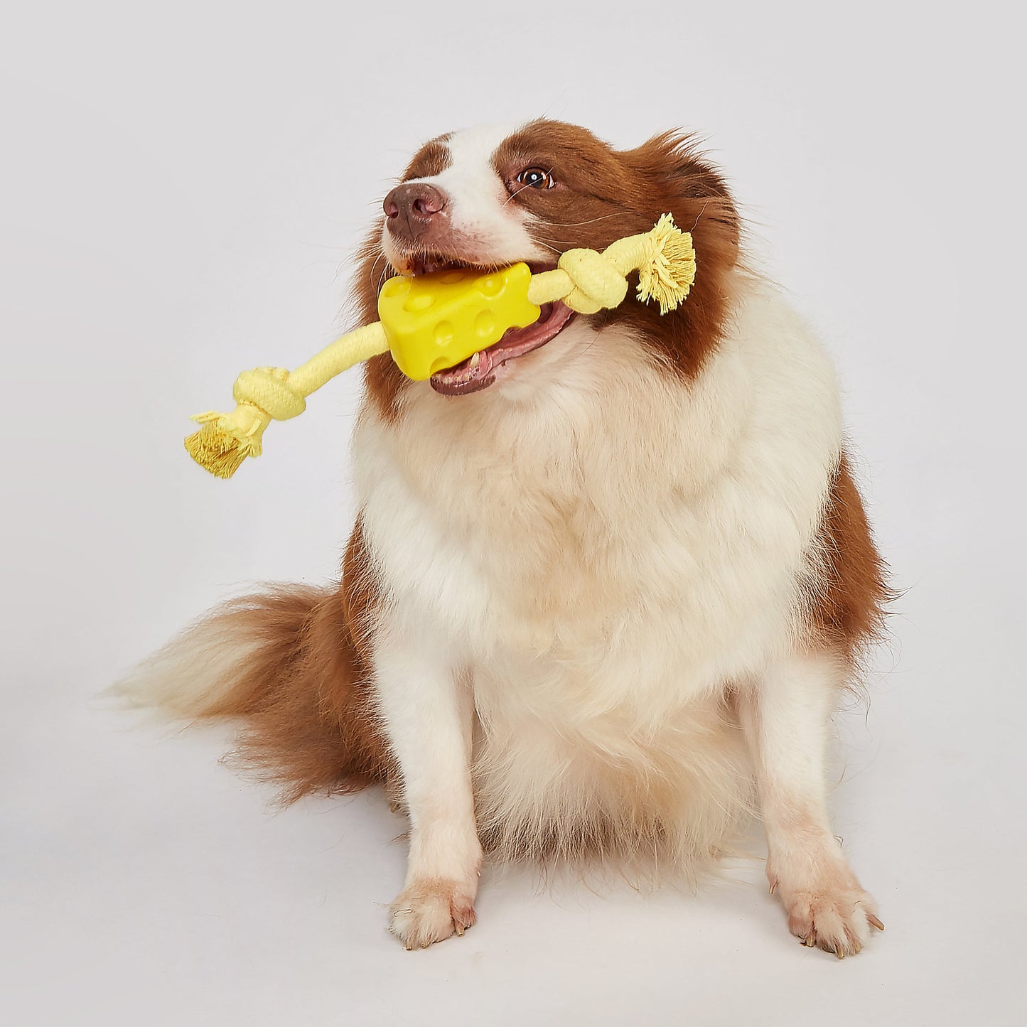 FOFOS Brinquedos para Cães - Espetinho Corda - Quejo