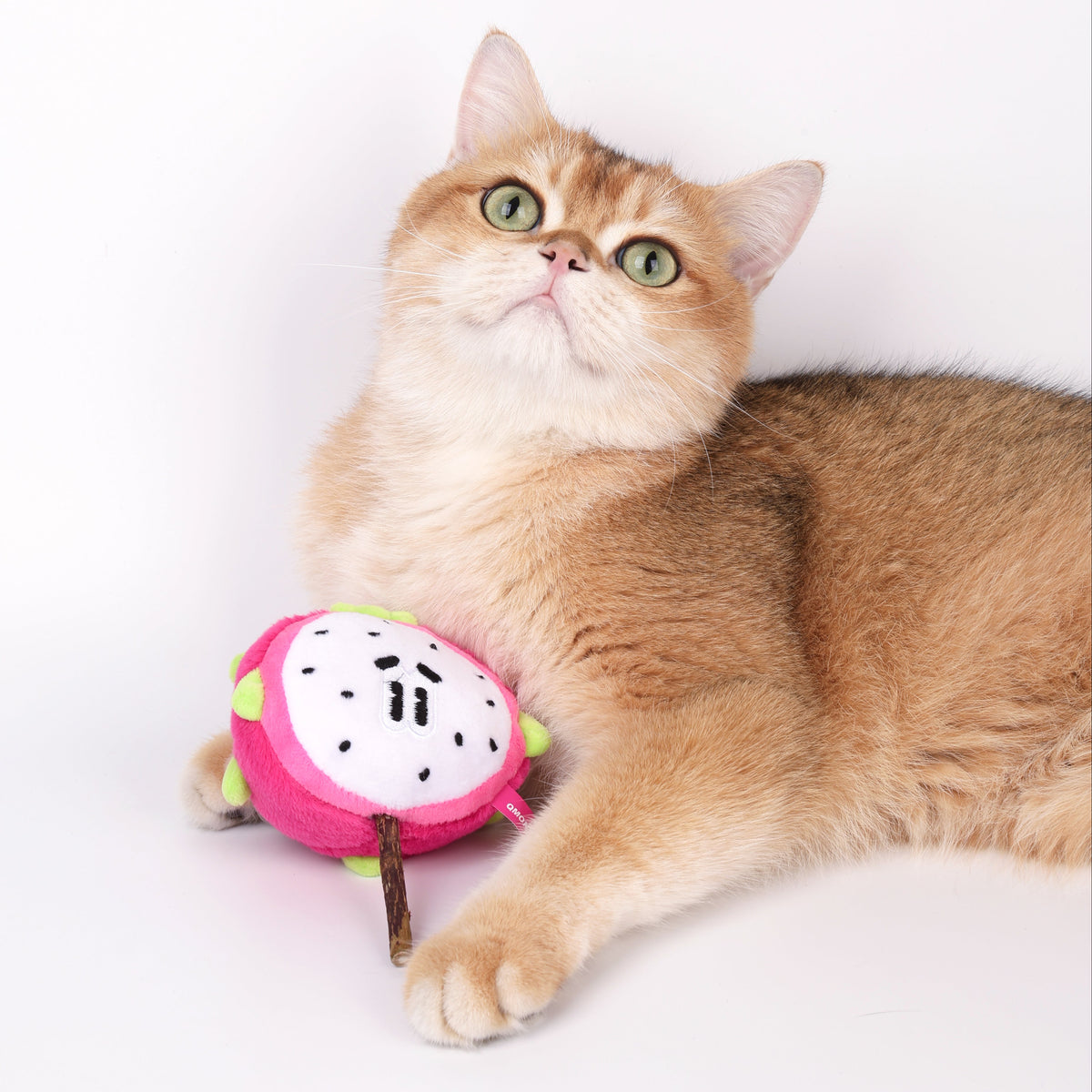 Qmonster Brinquedo para gatos - Pirulito de Matatabi com Catnip - Pitaya