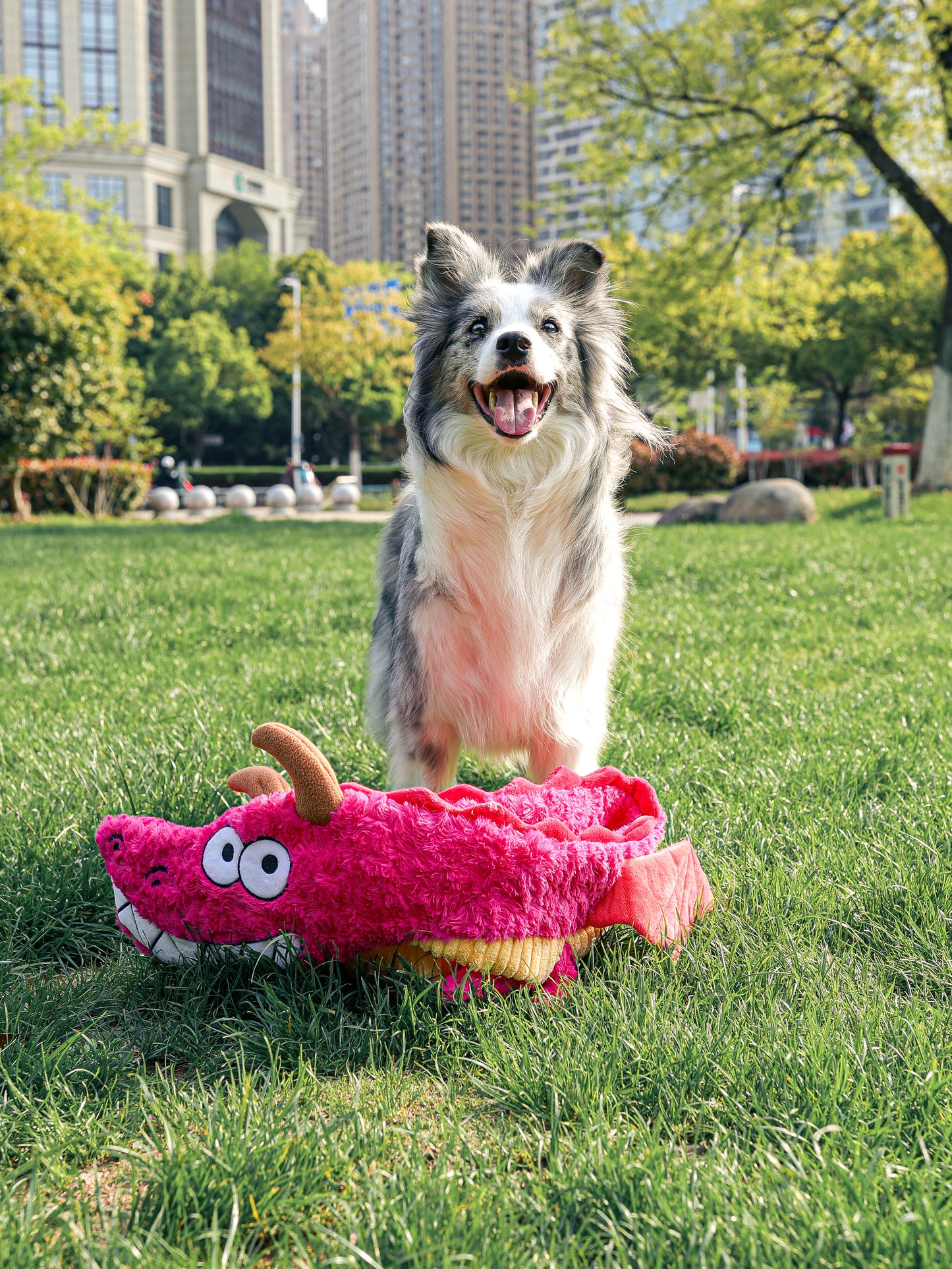 Qmonster Brinquedo para cachorro - Dragão Gigante - Rosa Grande