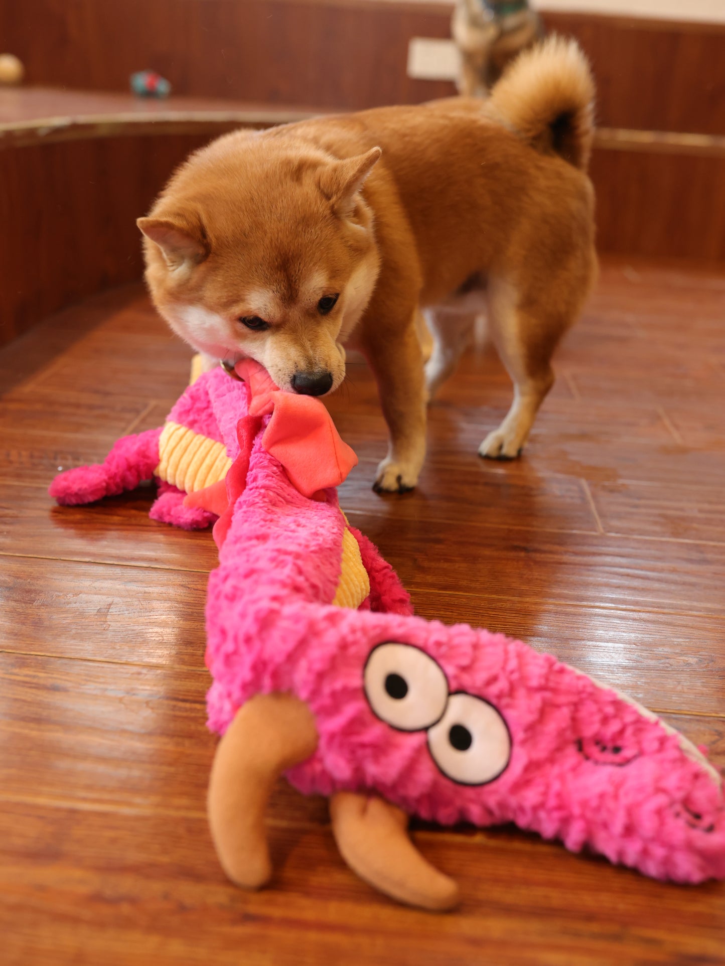 Qmonster Brinquedo para cachorro - Dragão Gigante - Rosa Pequeno