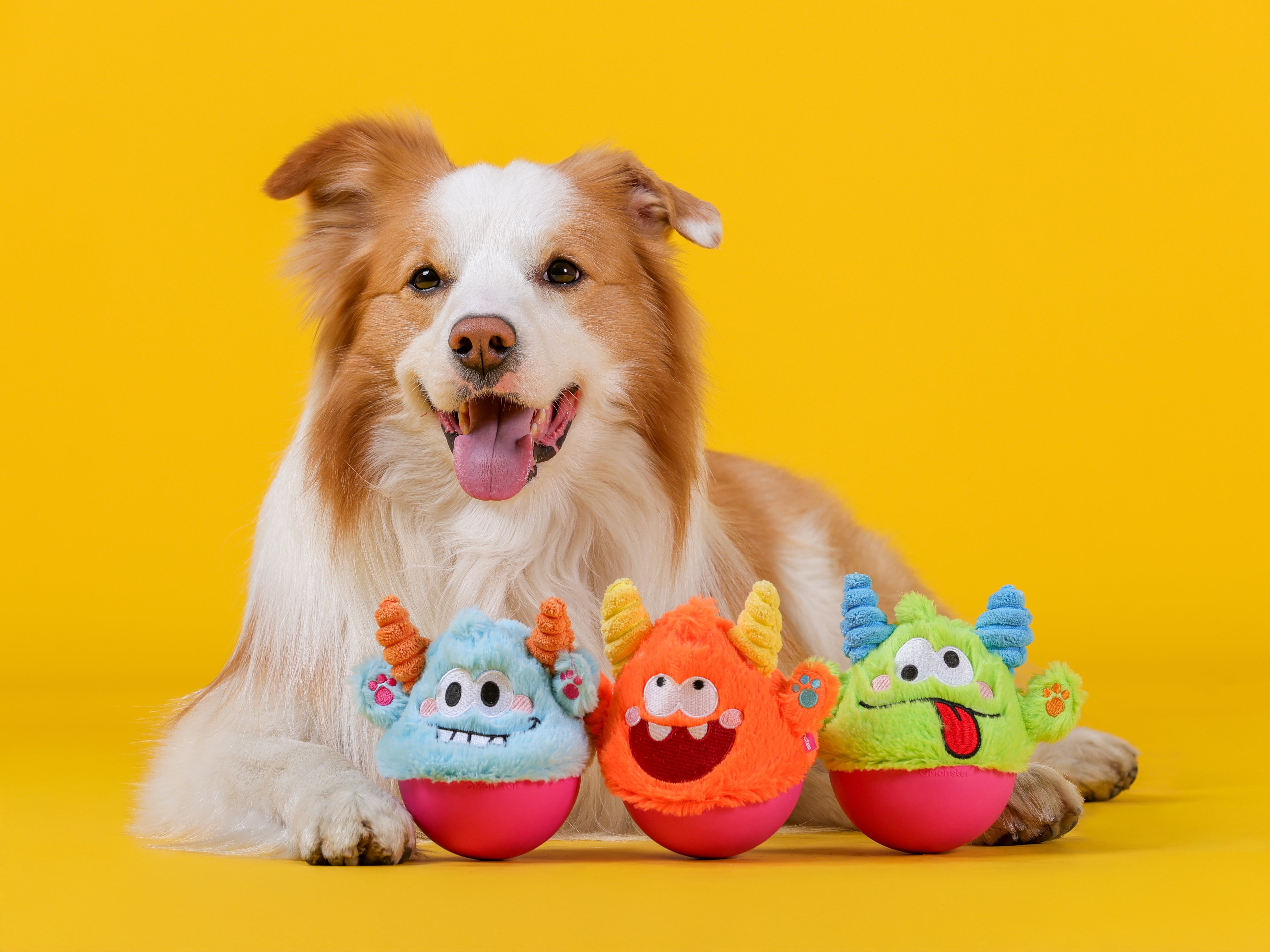 腹ペコモンスター Qmonster Brinquedo para cachorro - João Bobo - Verde – Petta