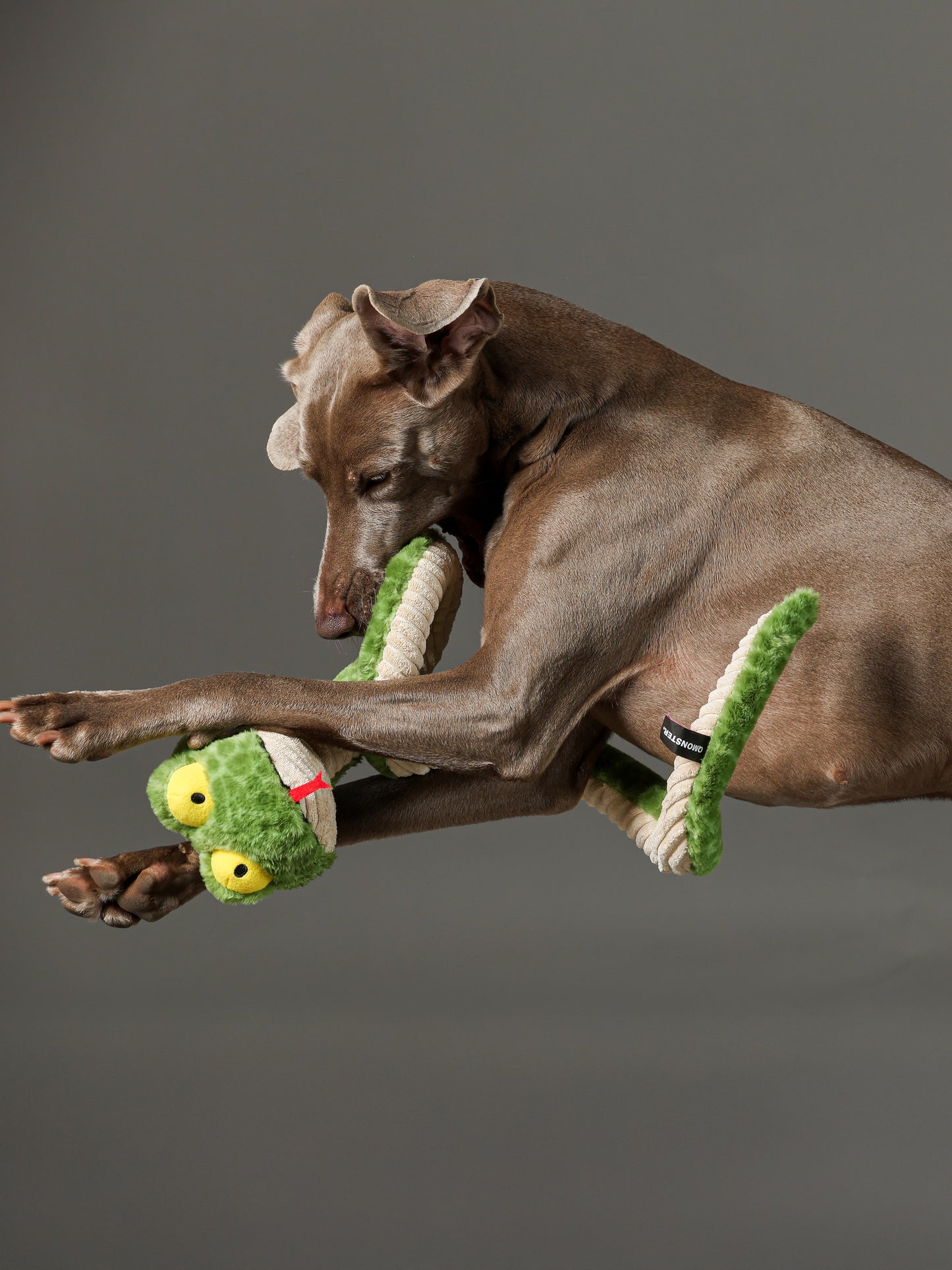 Qmonster Brinquedo para cachorros - Interativo Cobra de Mola 100cm - Verde