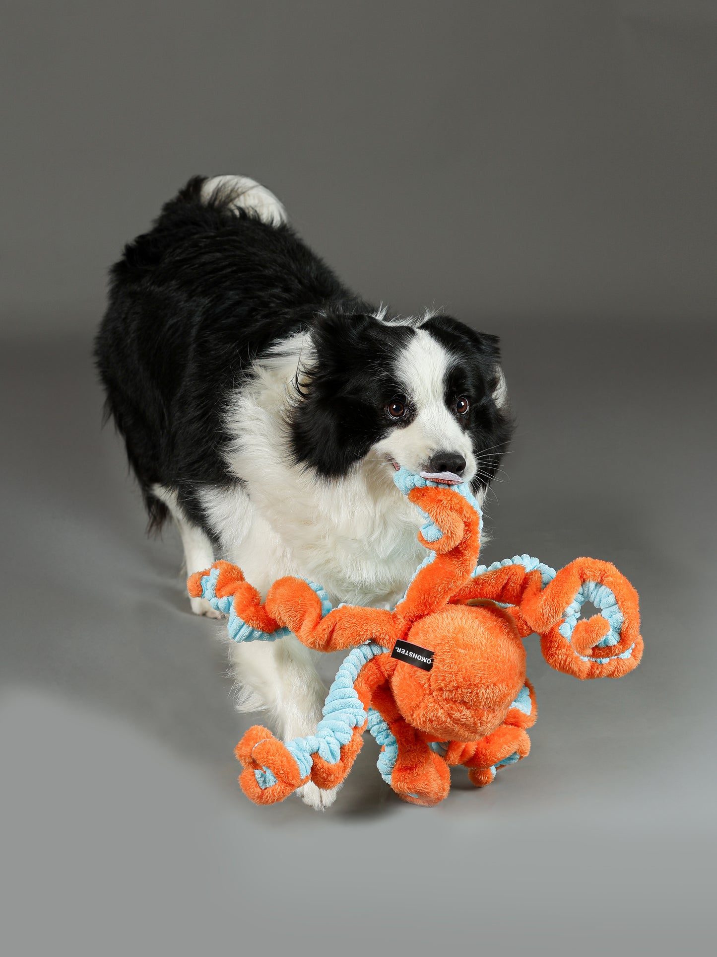 Qmonster Brinquedo para cachorros grande - Polvo Grande Laranja