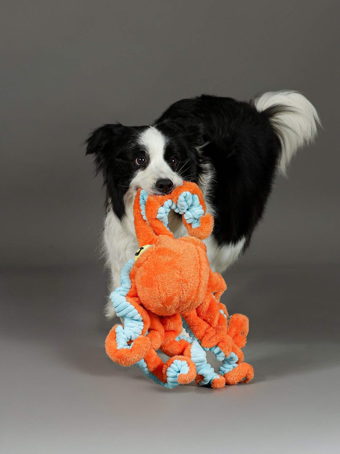 Qmonster Brinquedo para cachorros grande - Polvo Grande Laranja