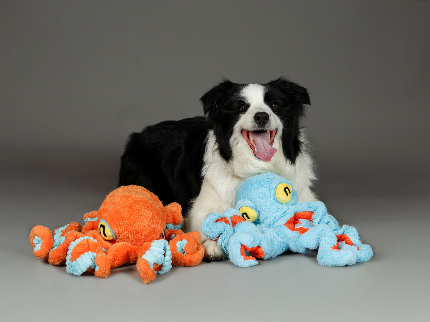 Qmonster Brinquedo para cachorros grande - Polvo Grande Laranja