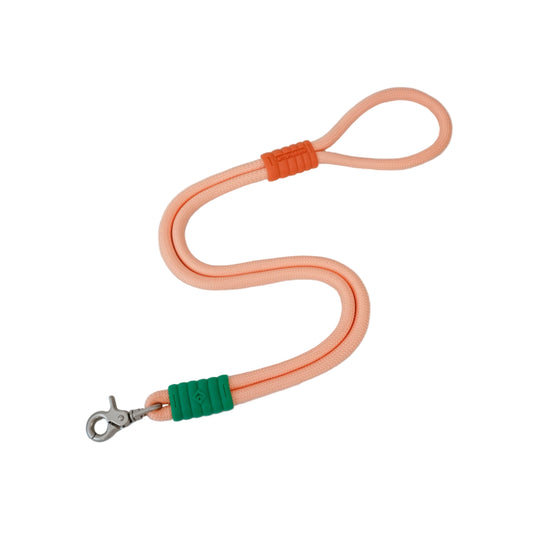 Petta's Pocket | MGBL®️ Guia Larga Caminhada Urbana - Salmon
