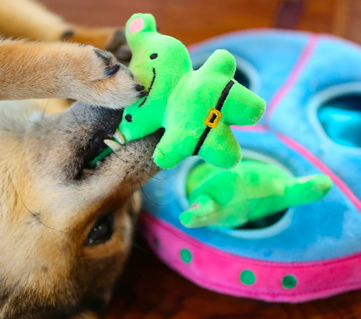 Brinquedo para cachorro - Pelúcia Interativo Esconde-esconde