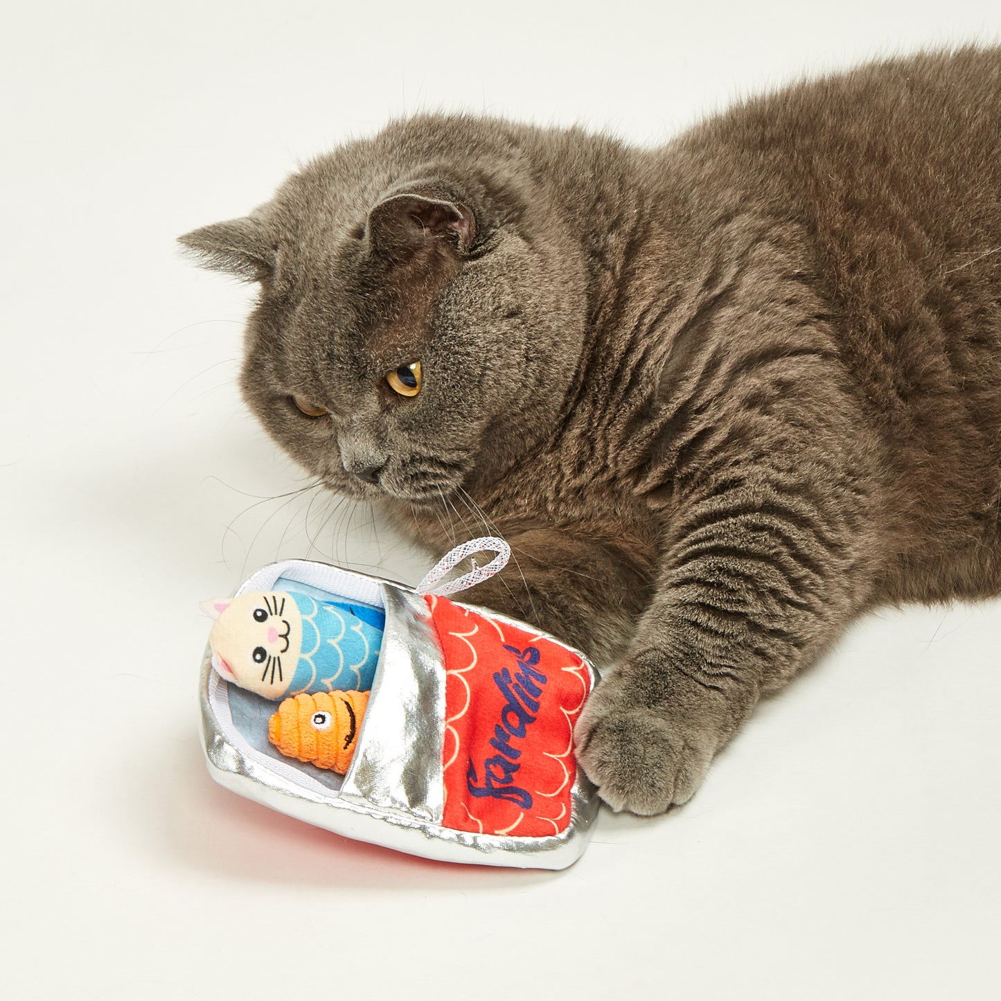 FOFOS Brinquedos para Gatos - Lata de Sardinhas c Porta Petisco 5em1