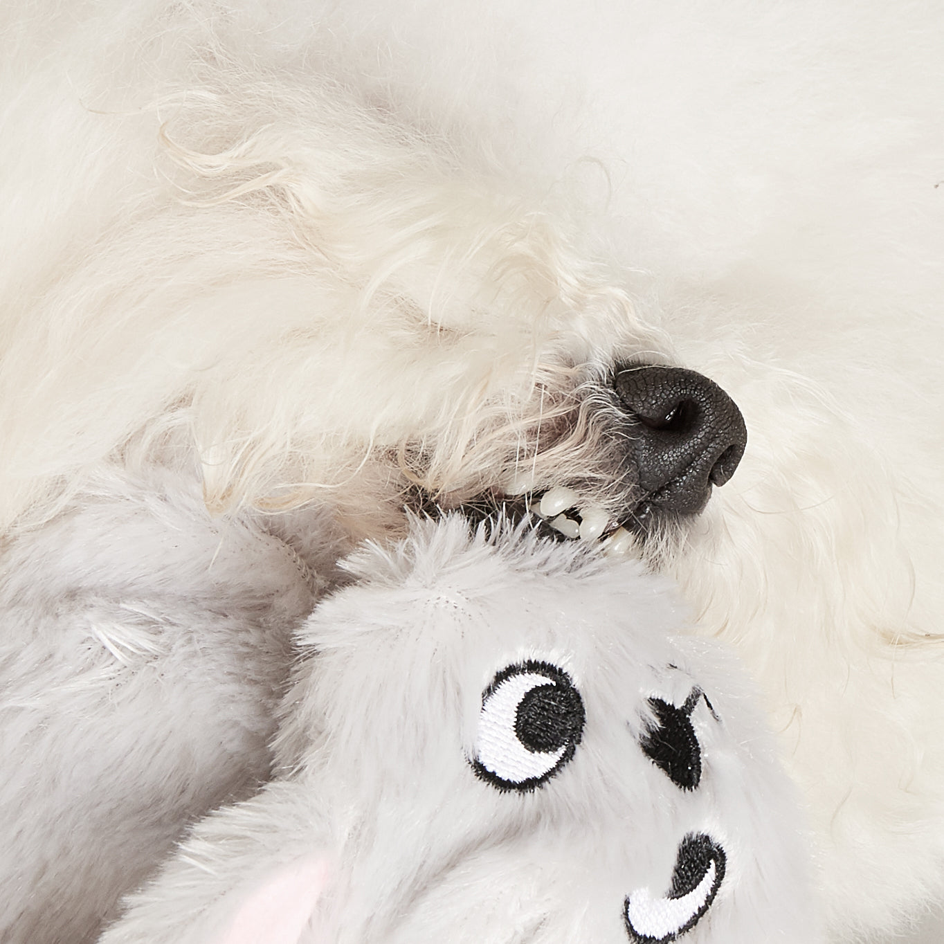 FOFOS Brinquedos para Cães - Quadradinho - Coelho