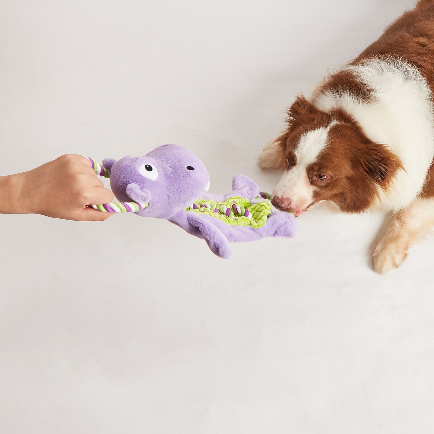 FOFOS Brinquedos para Cães - Rope Buddy Pelúcia c Corda - Hipoótamo