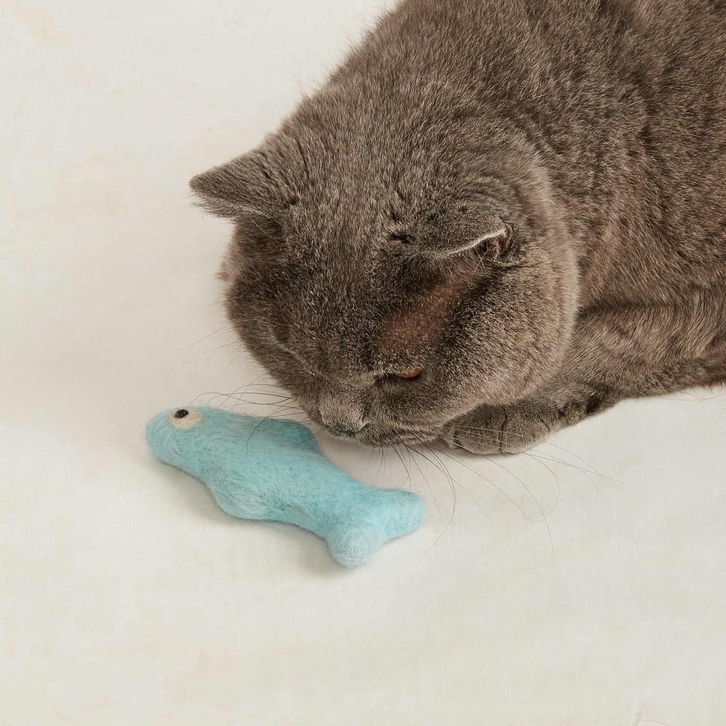 FOFOS Brinquedos para Gatos - Sardinhas de Lã 3em1