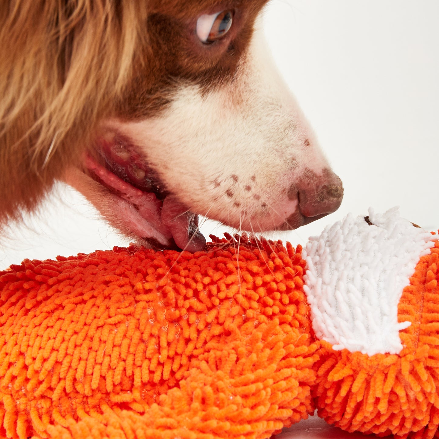 FOFOS Brinquedos para Cães - Tough Corpo Longo - Raposa