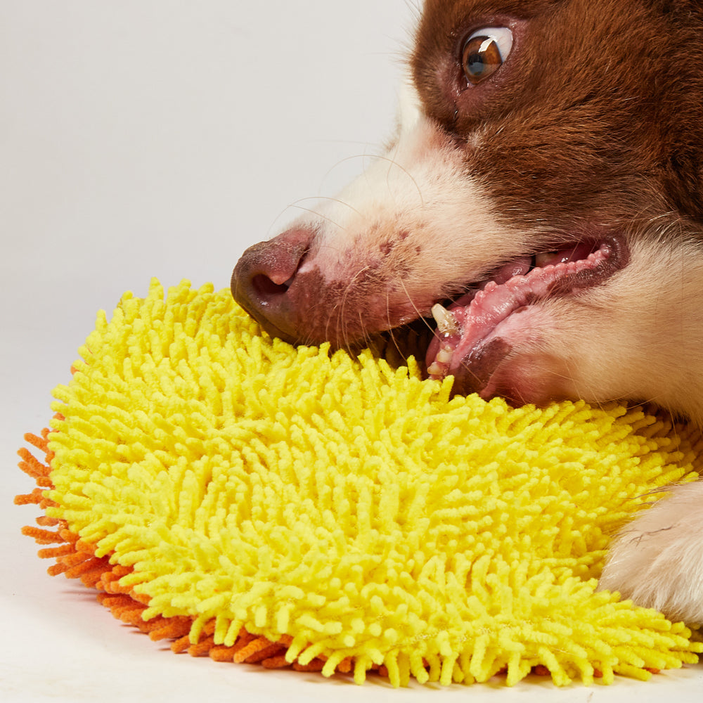 FOFOS Brinquedos para Cães - Tough Crocante - Leão