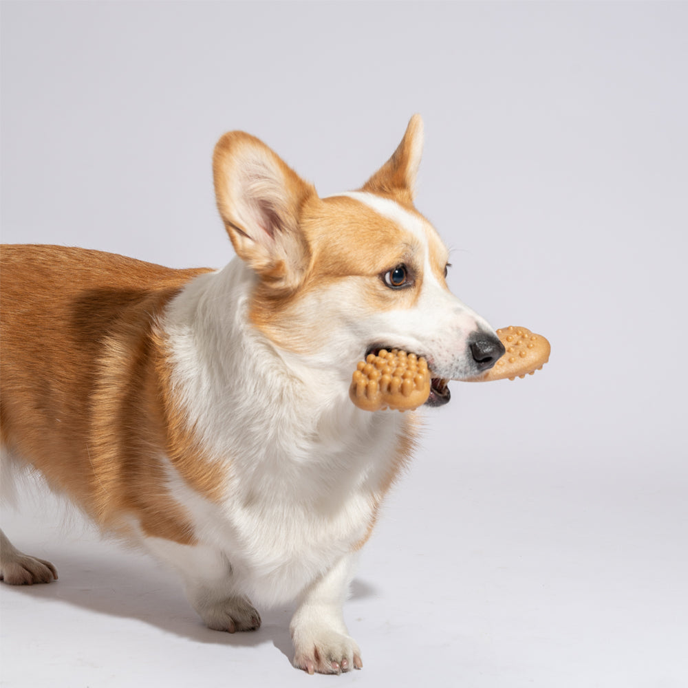 FOFOS Brinquedos para Cães - WoodPlay - Osso