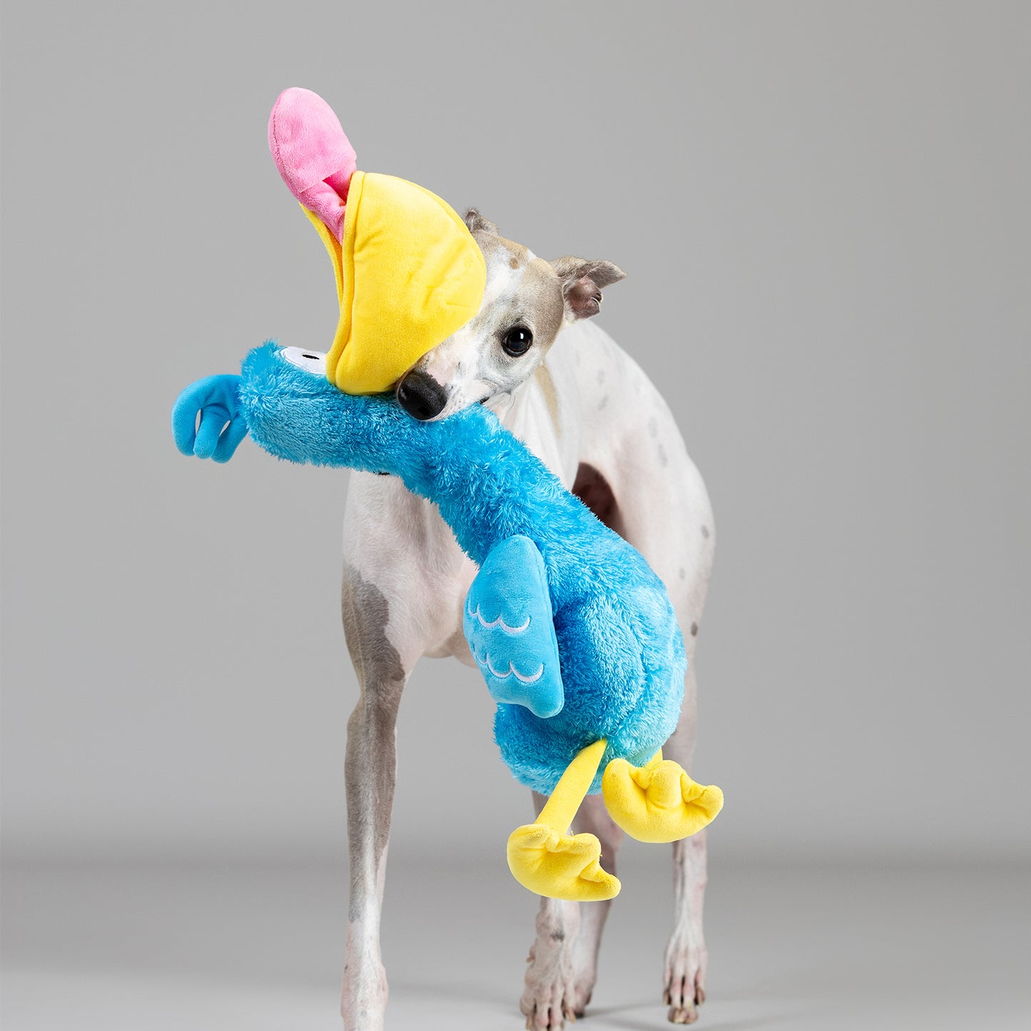 Qmonster Brinquedo para cachorro - Pelicana Dada Azul