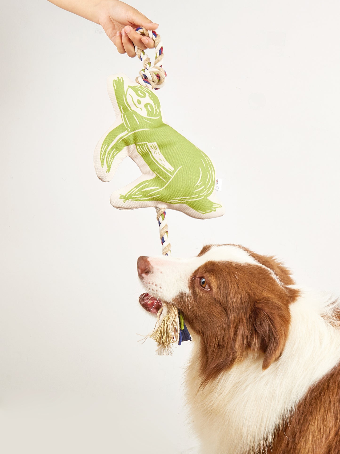 FOFOS Brinquedos para Cães - Vida Preguiçosa - Preguiça