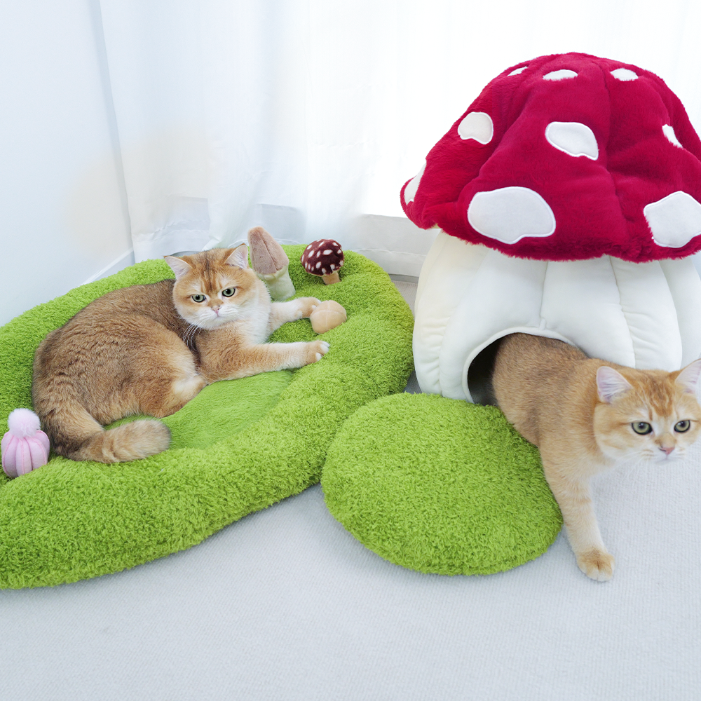 Qmonster Cashina para pets - Casinha de Cogumelo