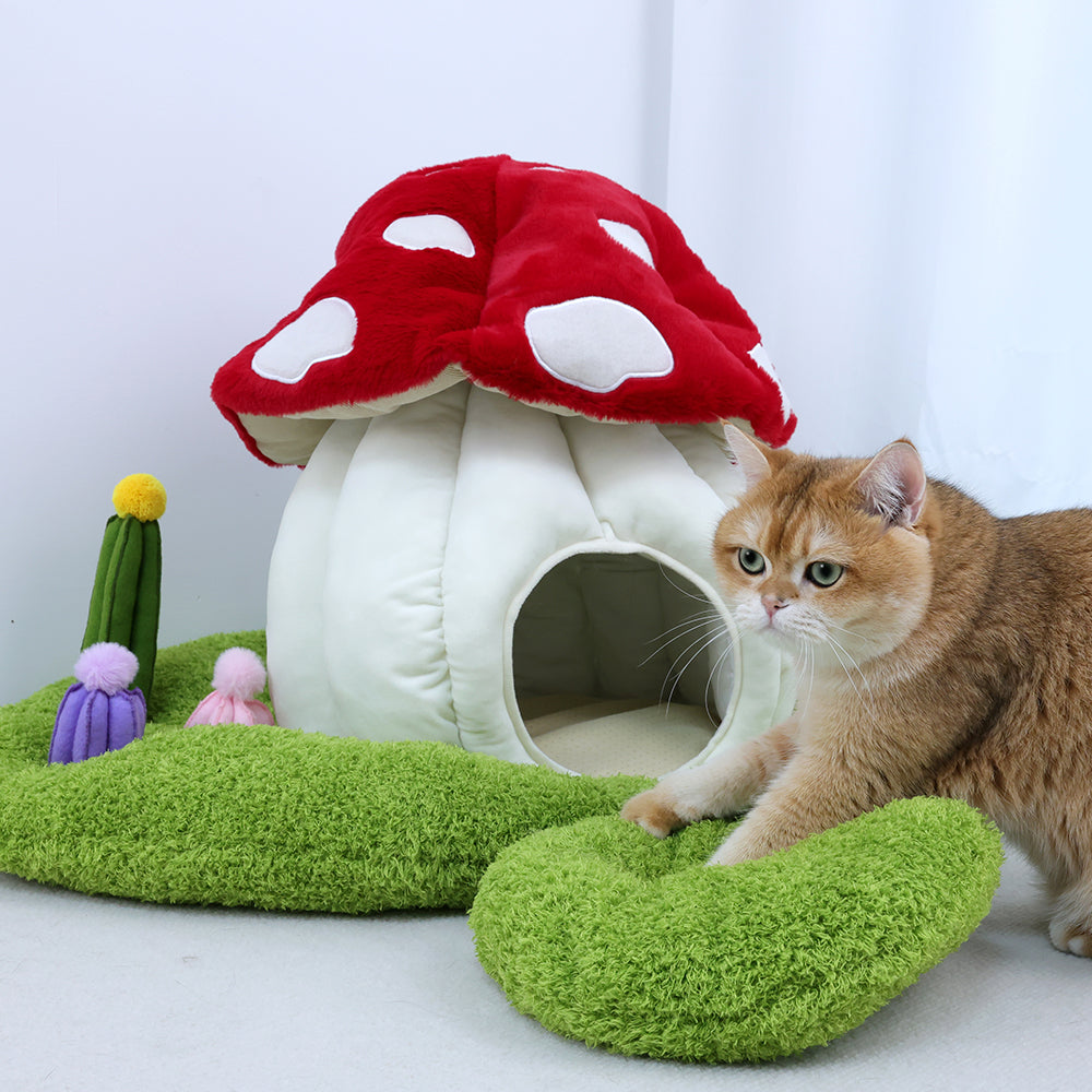 Qmonster Cashina para pets - Casinha de Cogumelo