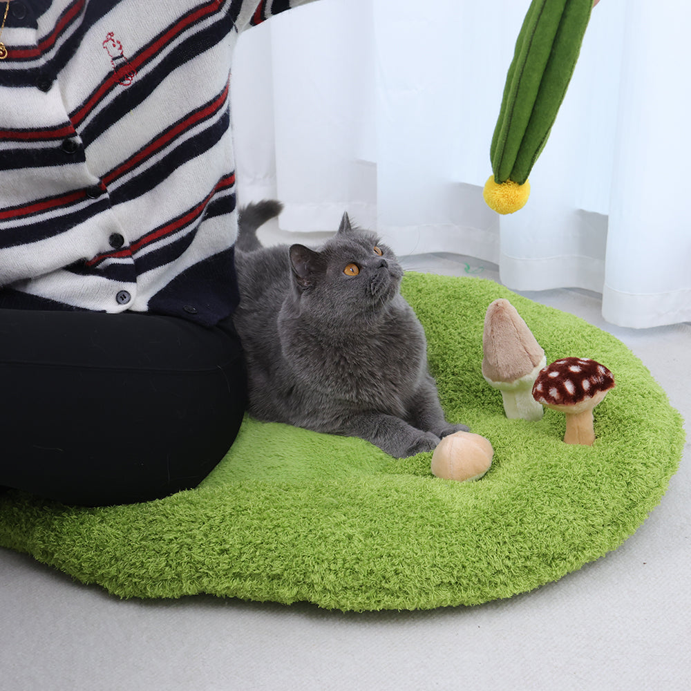 Qmonster Cashina para pets - Casinha de Cogumelo