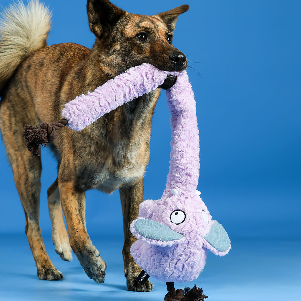 Qmonster Brinquedo para cachorro - Elefante de Tromba Longa - Roxo