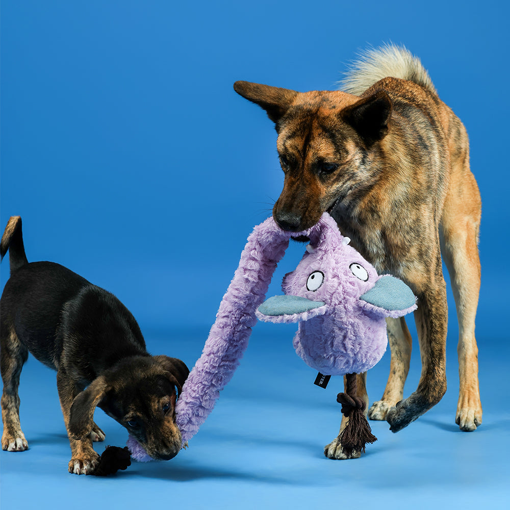 Qmonster Brinquedo para cachorro - Elefante de Tromba Longa - Roxo