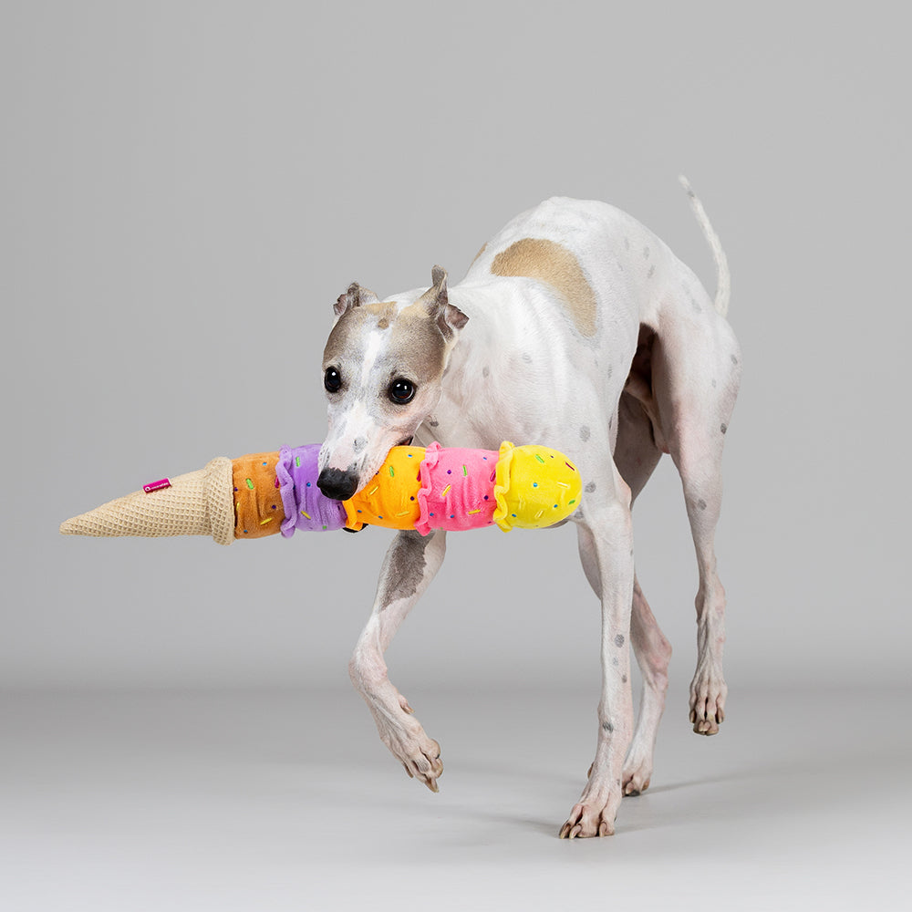 Qmonster Brinquedo para cachorro - Sorvete Cascão Colorido