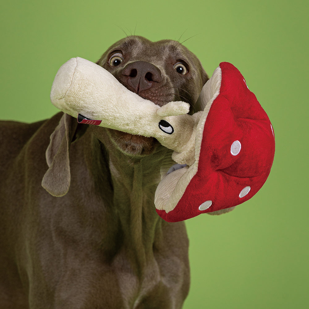Qmonster Brinquedo para cachorro - Cogumelo Vermelho Curioso